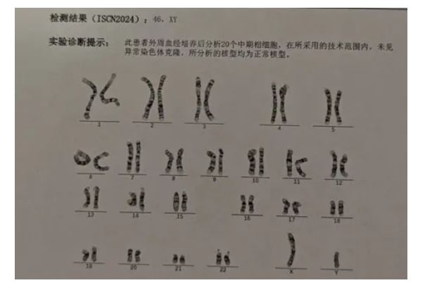 1774838348816242.jpg 1774838348816242.jpg