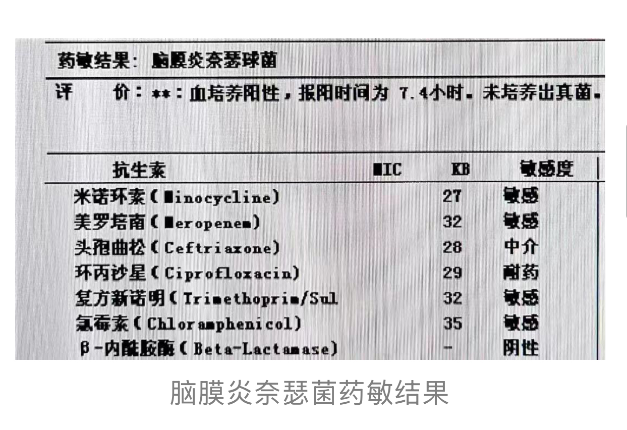 1775032208917431.jpg 1775032208917431.jpg