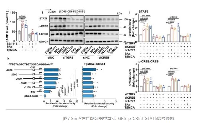 1775090567600841.jpg 1775090567600841.jpg