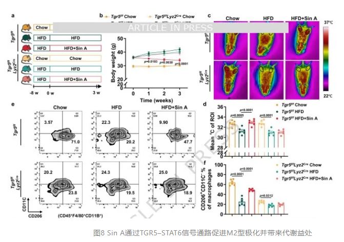 1775090574593993.jpg 1775090574593993.jpg