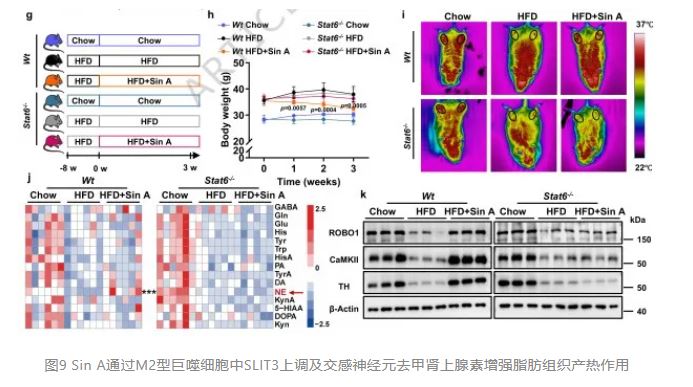 1775090582975848.jpg 1775090582975848.jpg
