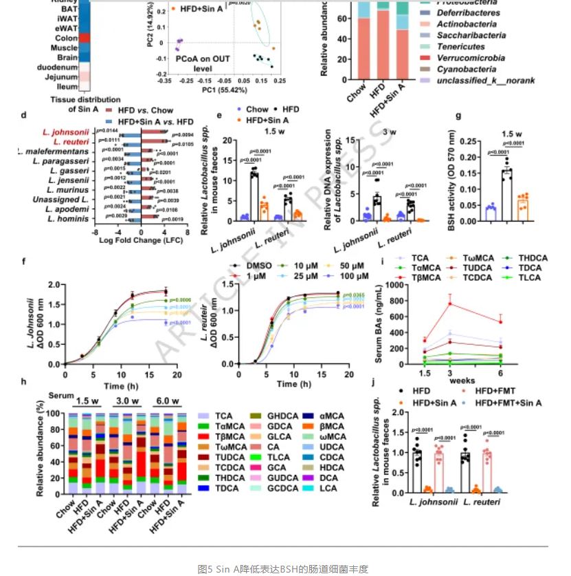 1775090687972274.jpg 1775090687972274.jpg