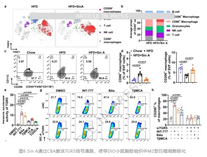 1775090698173302.jpg 1775090698173302.jpg