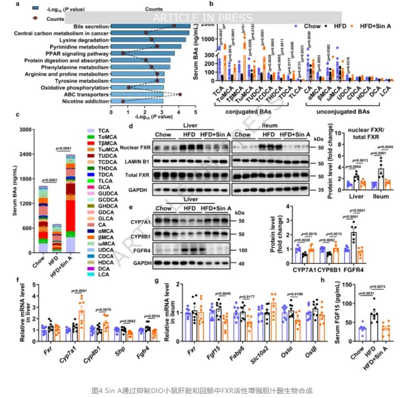 1775090766740962.jpg 1775090766740962.jpg