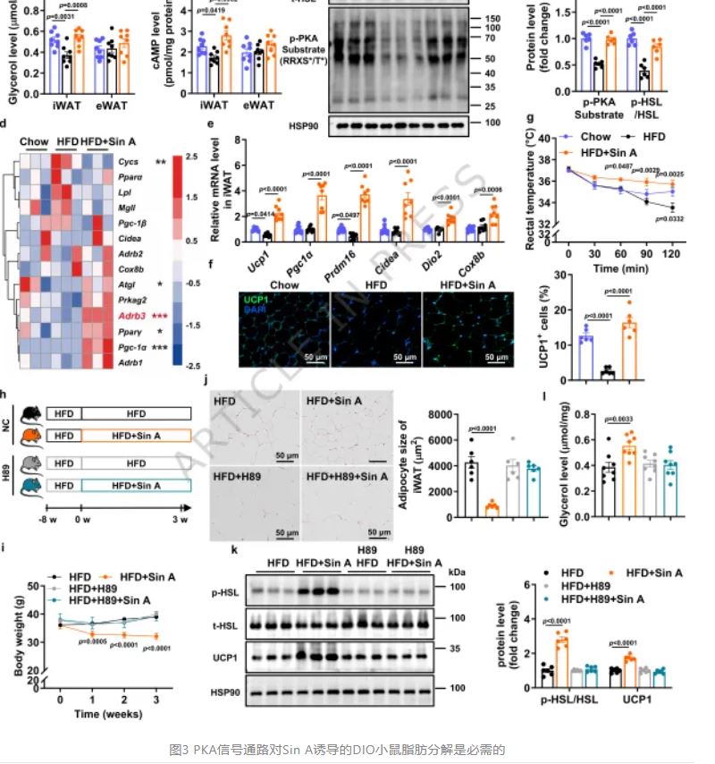 1775090774848473.jpg 1775090774848473.jpg