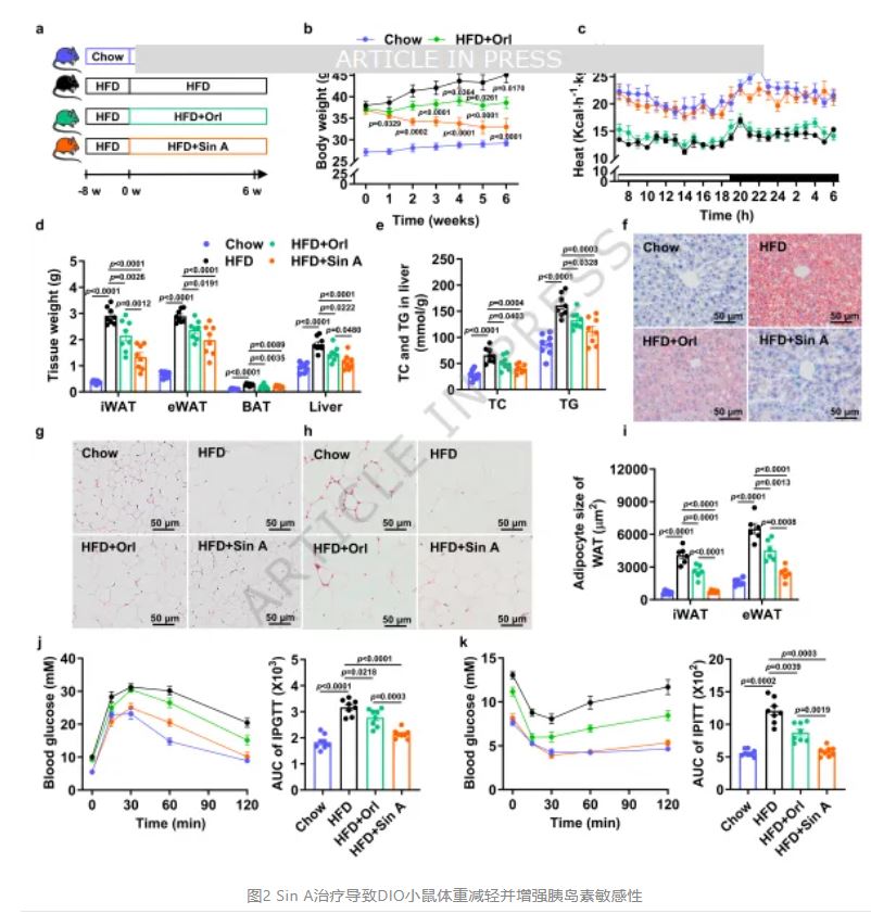 1775090854396269.jpg 1775090854396269.jpg