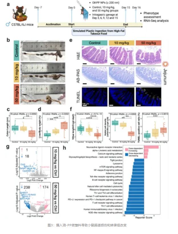 1775093521986688.jpg 1775093521986688.jpg