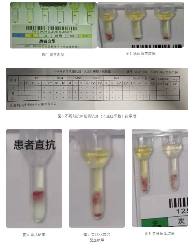 1775176756498709.jpg 1775176756498709.jpg