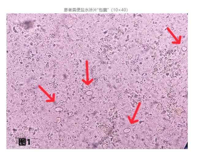 1775441522756937.jpg 1775441522756937.jpg