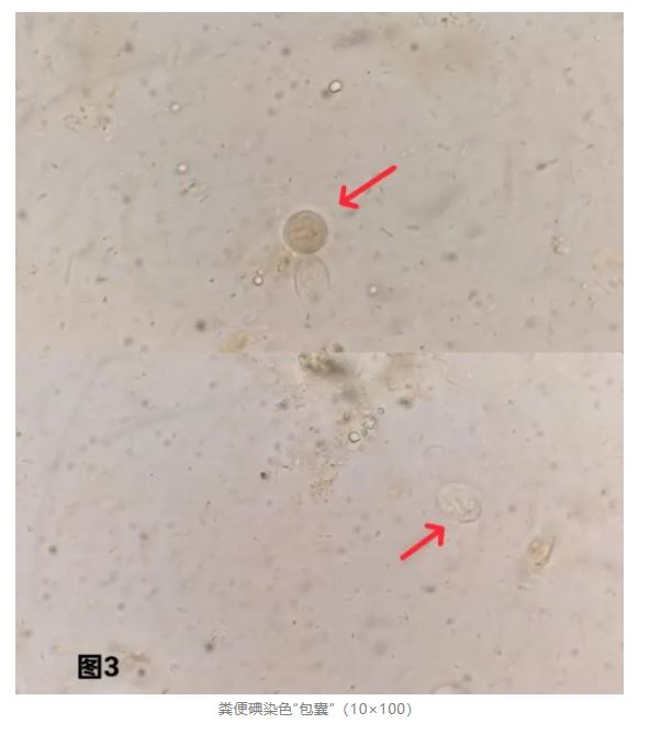 1775441531553992.jpg 1775441531553992.jpg