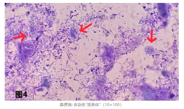 1775441563692707.jpg 1775441563692707.jpg